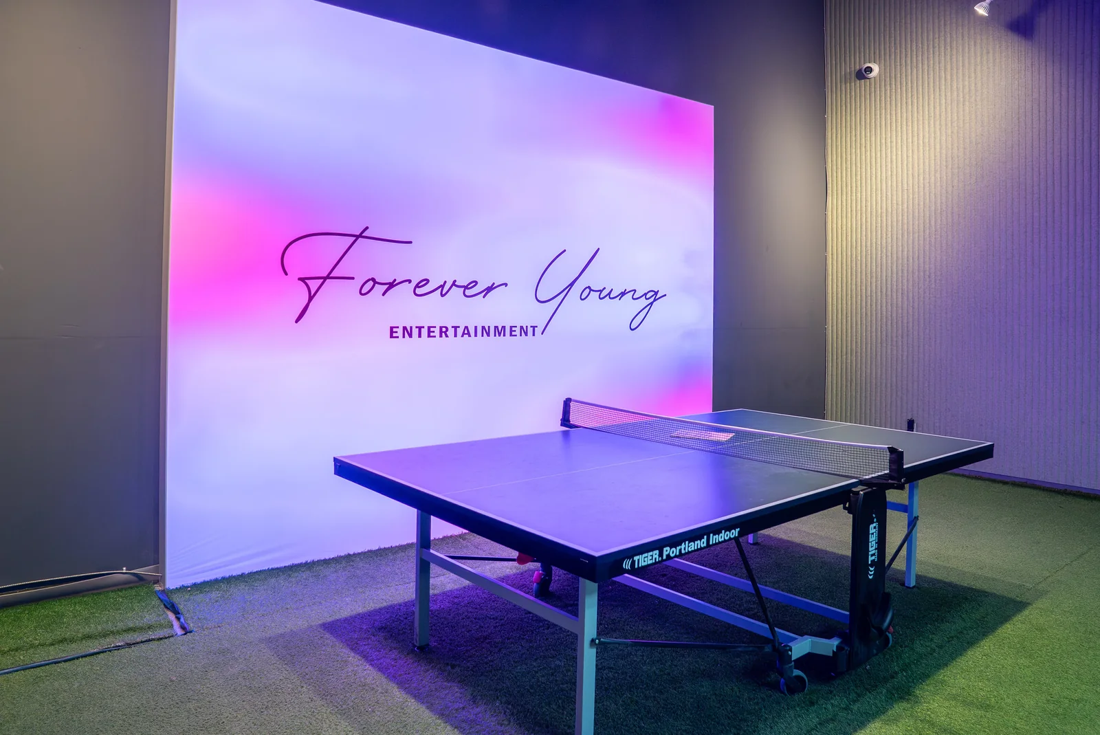 Table tennis area